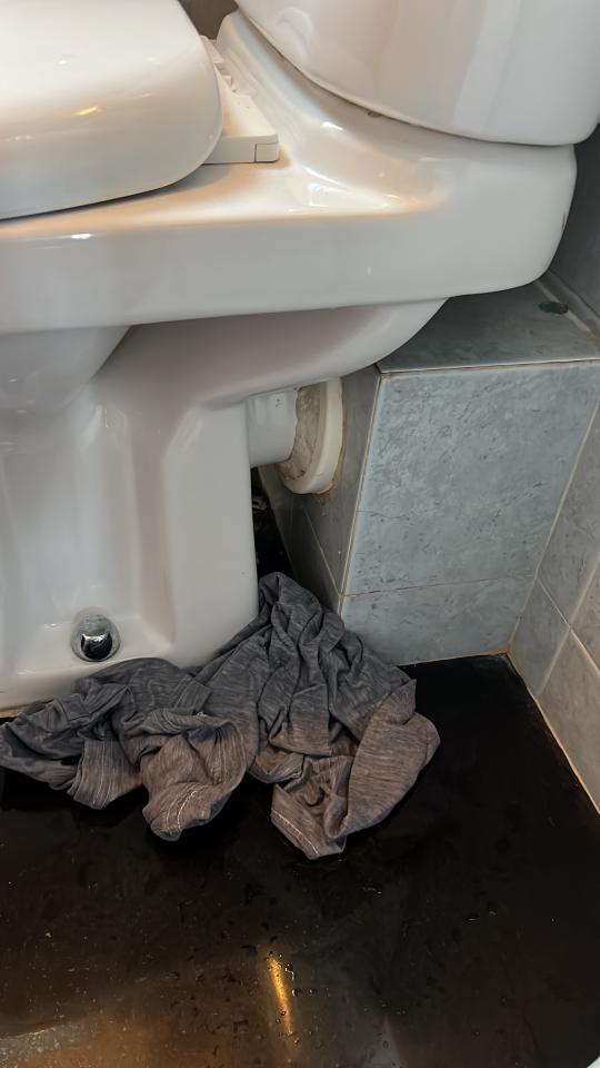 Toilet Installation & Repairjob photo