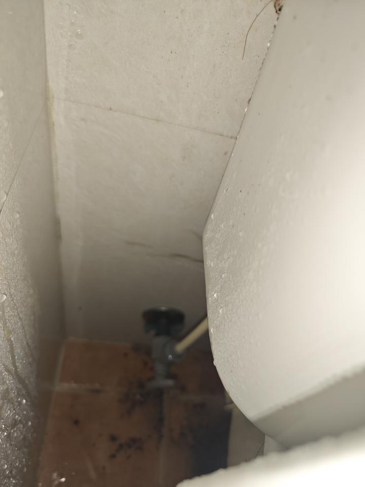 Toilet Installation & RepairJob photo