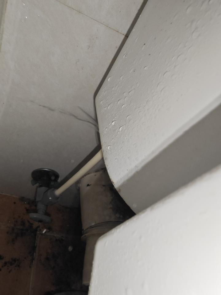 Toilet Installation & RepairJob photo