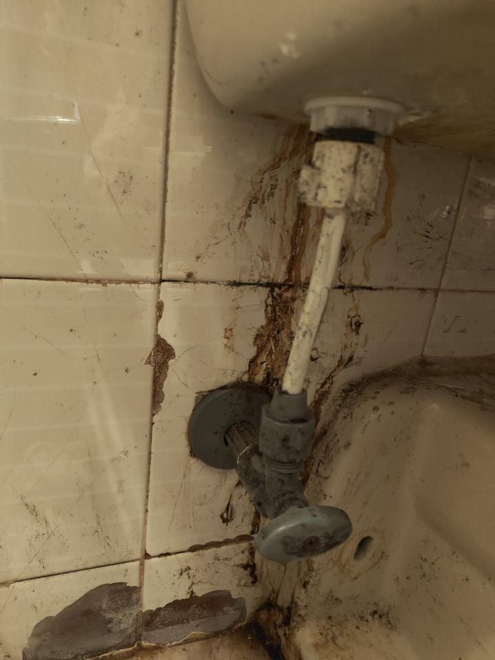 Faucet Repair & Installationjob photo