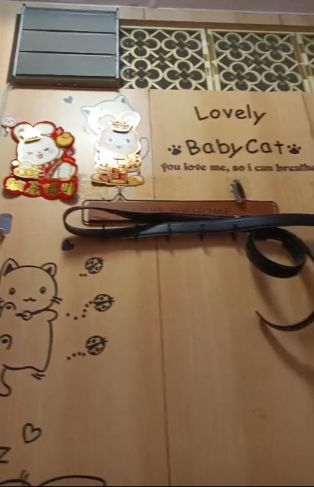 清拆工程工作照片