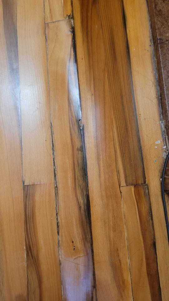 地板維修工作照片