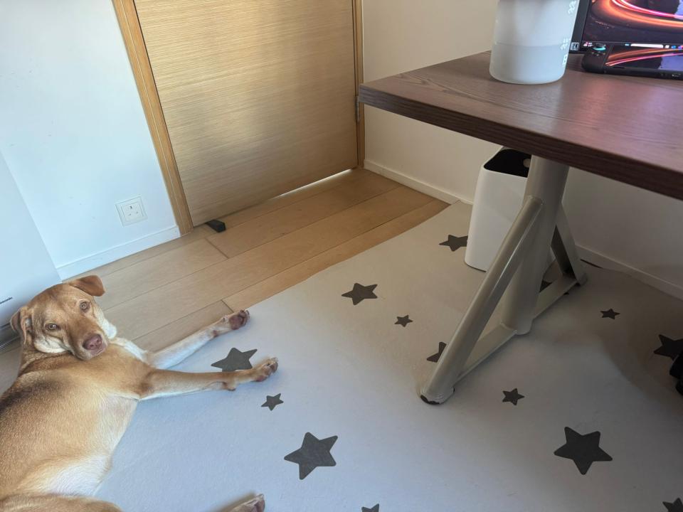 FlooringJob photo