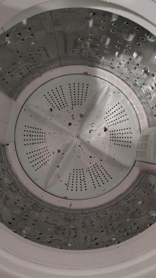 洗衣機清洗工作照片