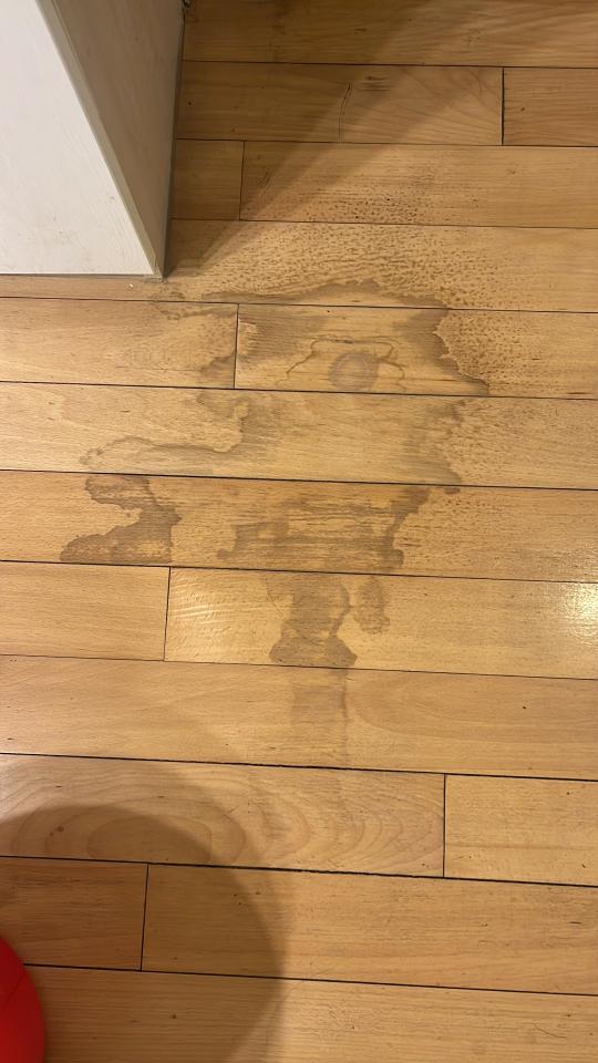 地板維修工作照片