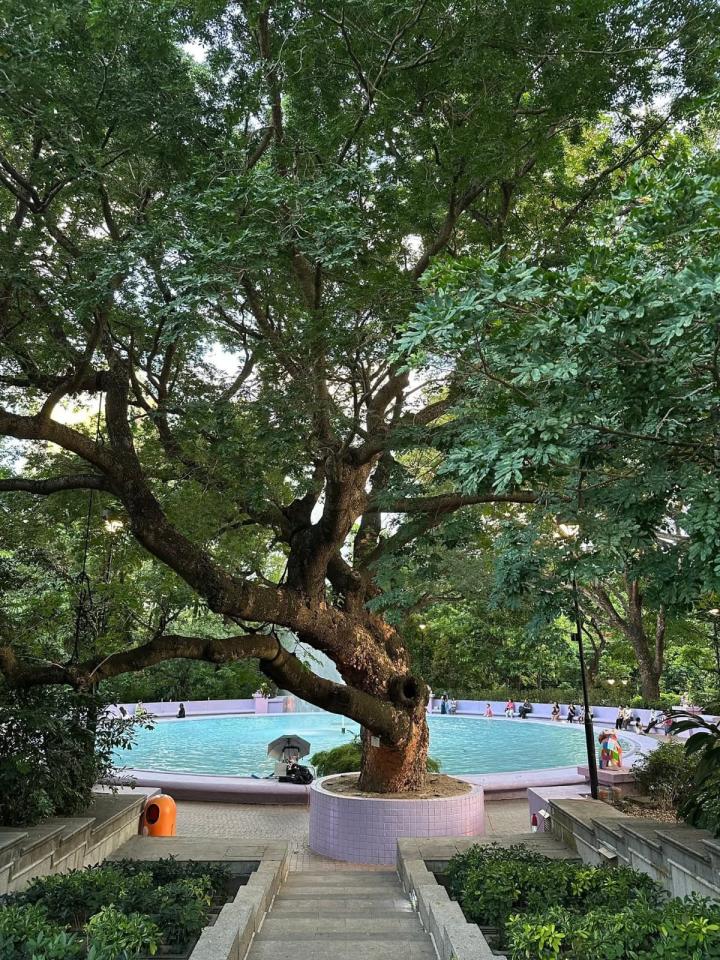 Illustration DesignJob photo