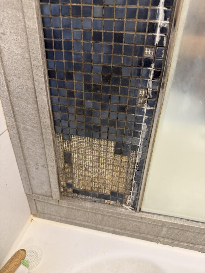 紙皮石工作照片