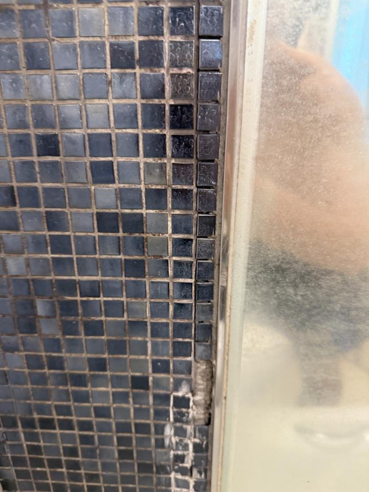 紙皮石工作照片