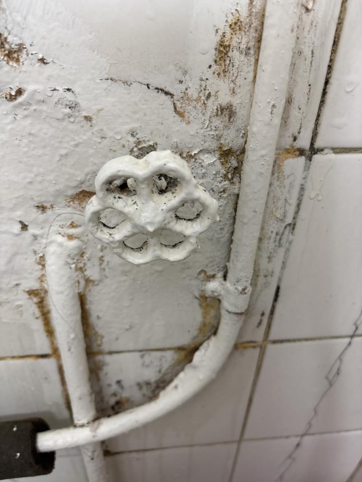 水喉水務工作照片 水喉水務工作照片