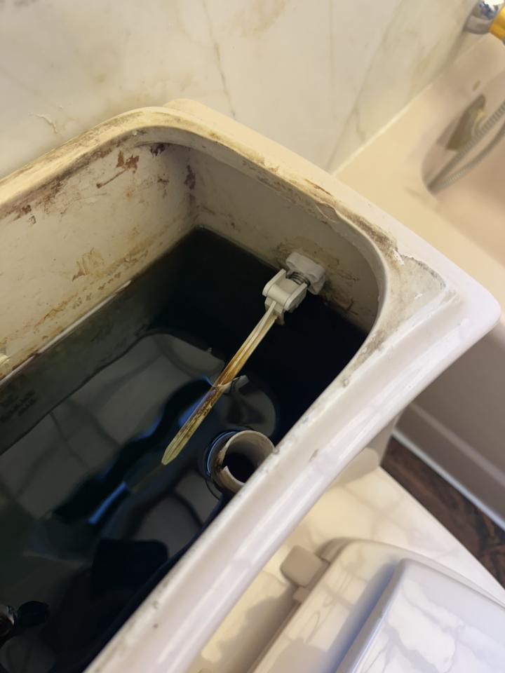 馬桶安裝工作照片 馬桶安裝工作照片