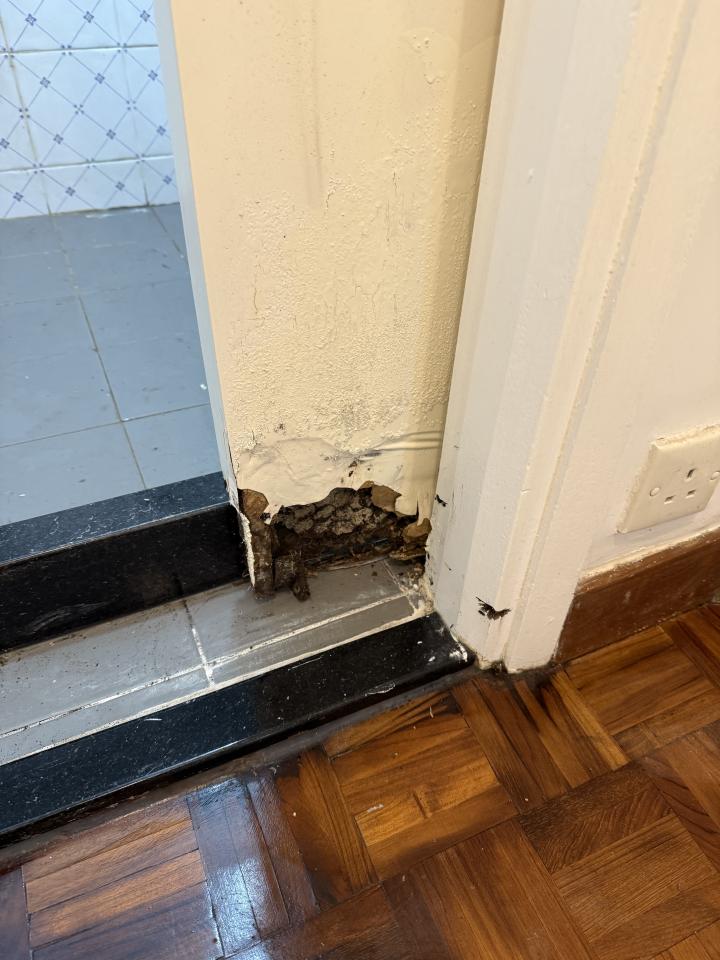 木工工作照片 木工工作照片