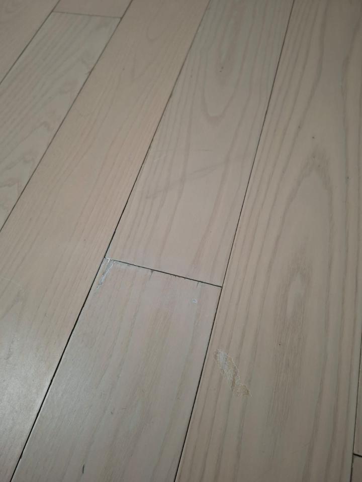 地板拋光打蠟工作照片 地板拋光打蠟工作照片