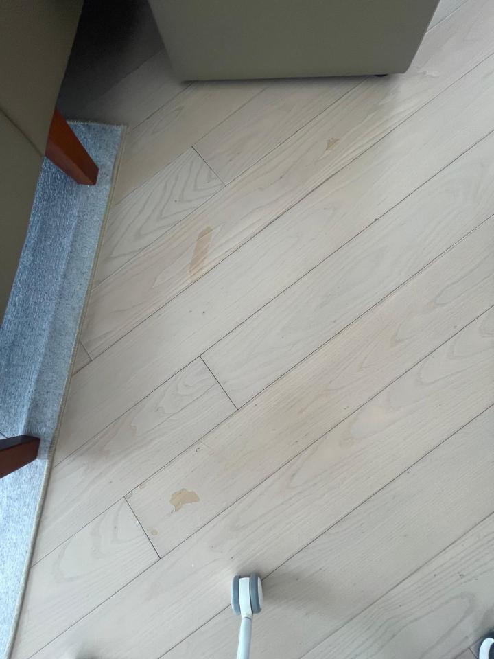 地板拋光打蠟工作照片 地板拋光打蠟工作照片