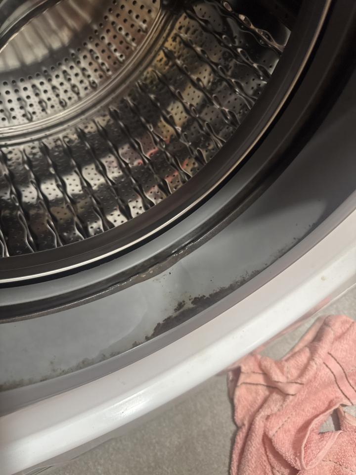 洗衣機清洗工作照片