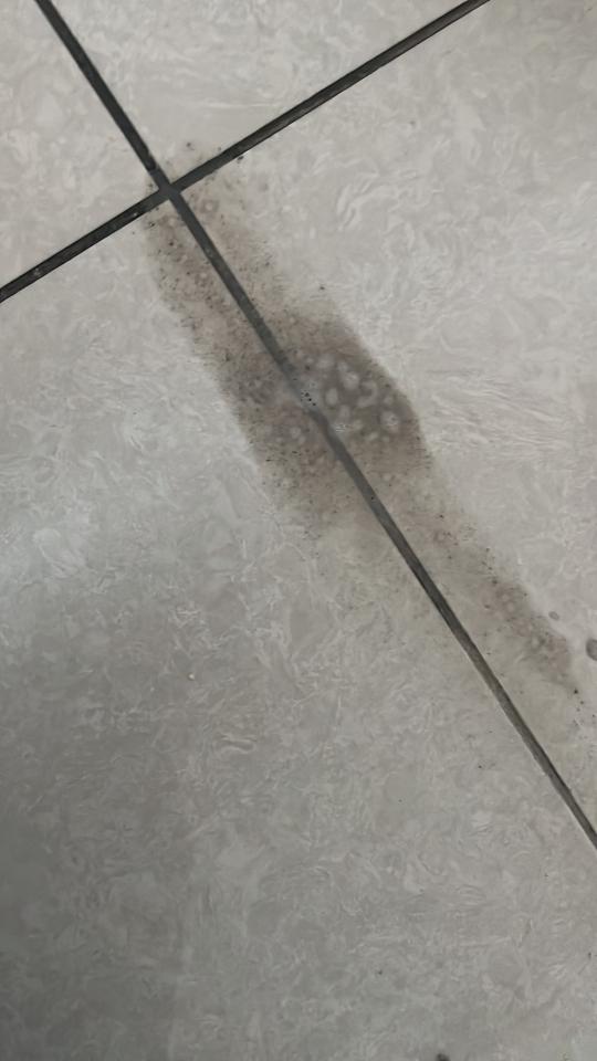 Tile CleaningJob photo