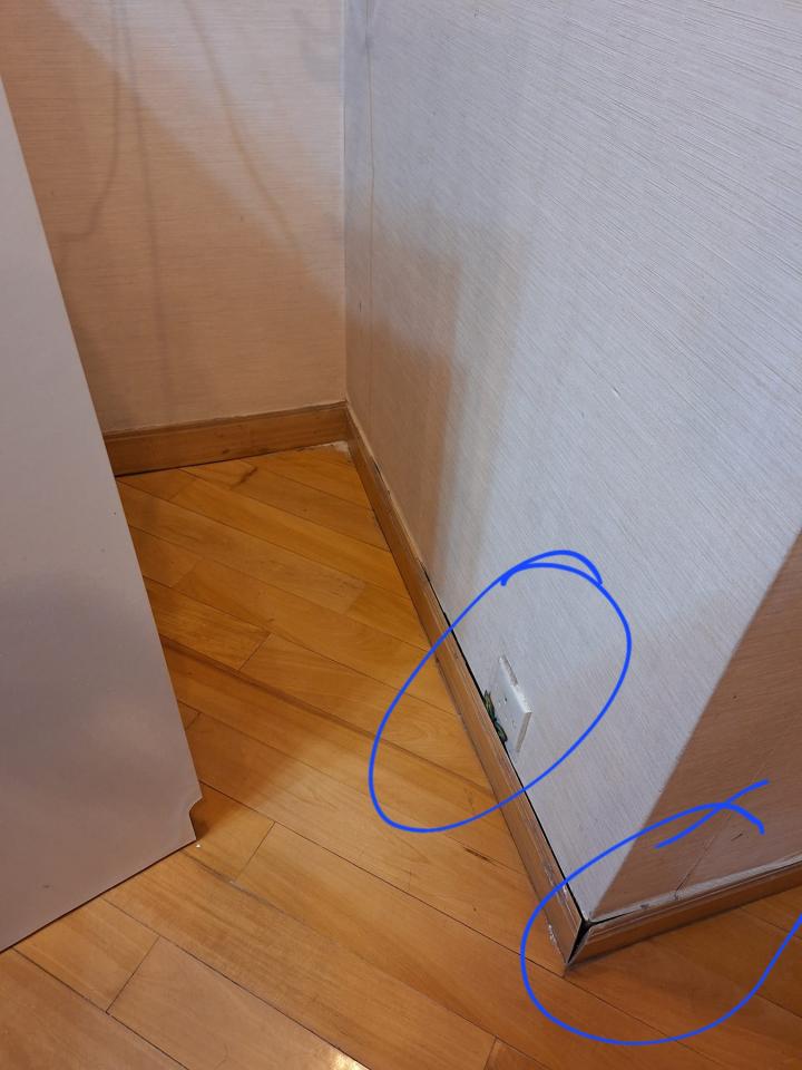 Ceiling RenovationJob photo