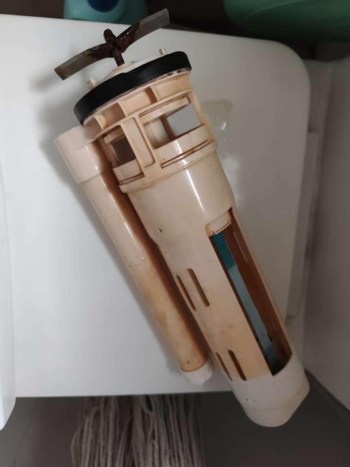 Toilet Installation & RepairJob photo