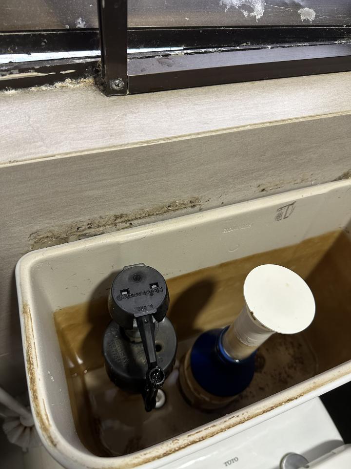 Toilet Installation & Repairjob photo