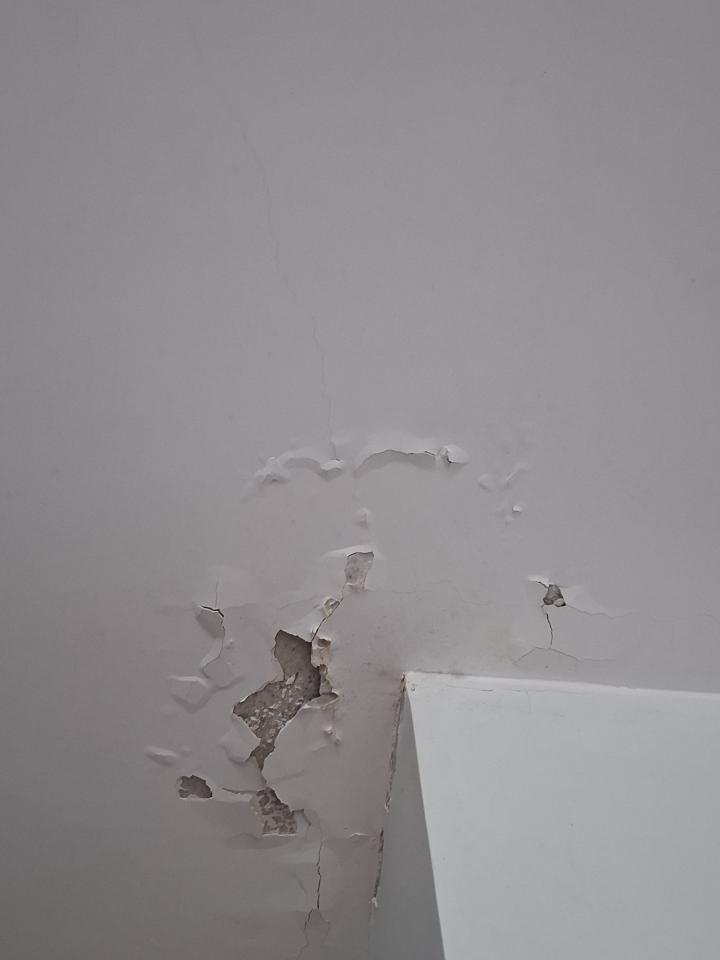 Wall PaintingJob photo