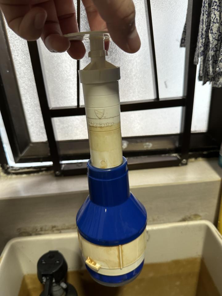 Toilet Installation & Repairjob photo