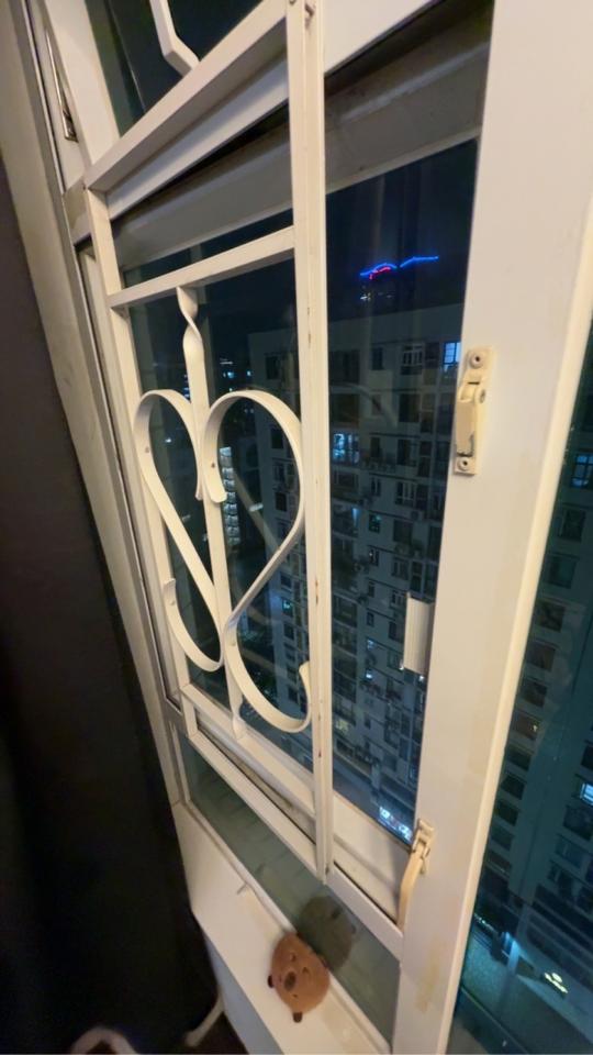 Cat Proof Window Grille and GateJob photo