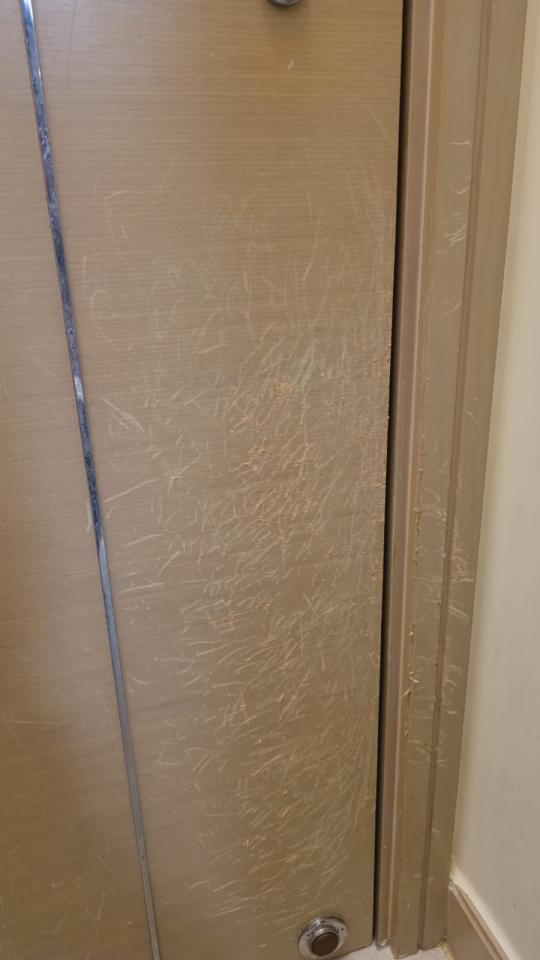 油漆工程工作照片