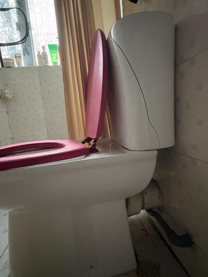 馬桶安裝工作照片