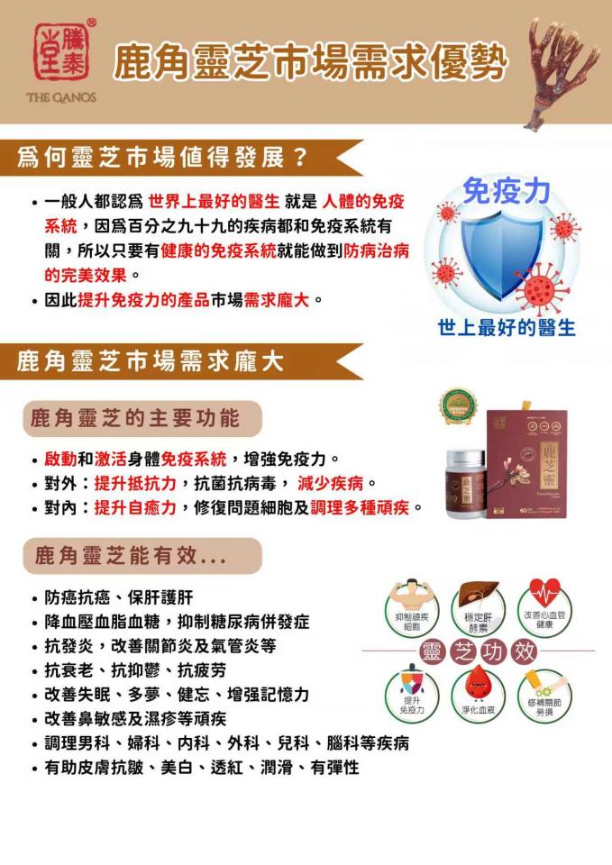 傳單設計工作照片