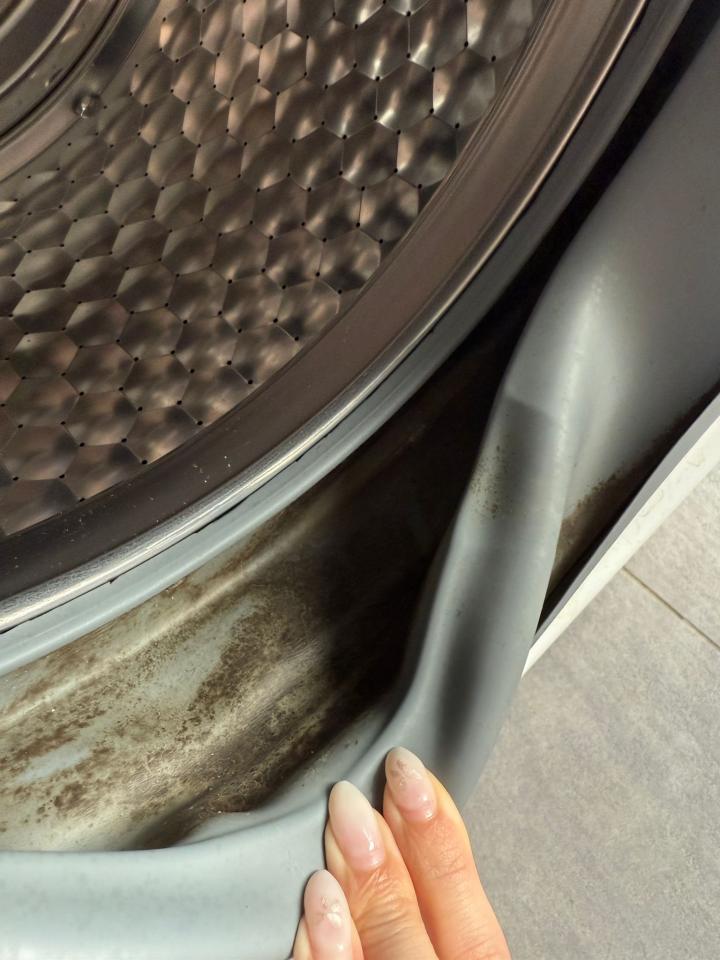 洗衣機清洗工作照片