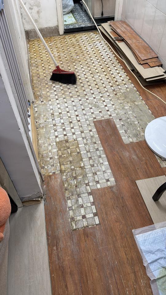 清拆工程工作照片