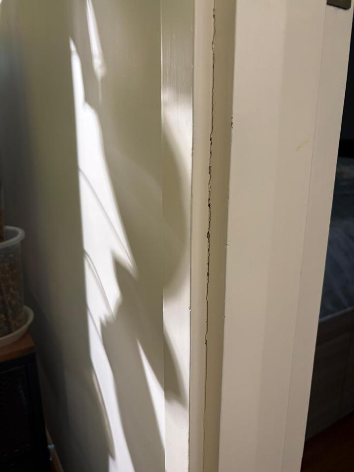 Door repairjob photo