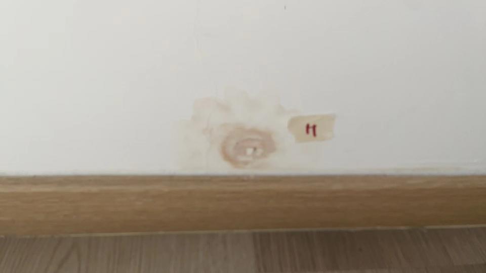 漏水維修工作照片