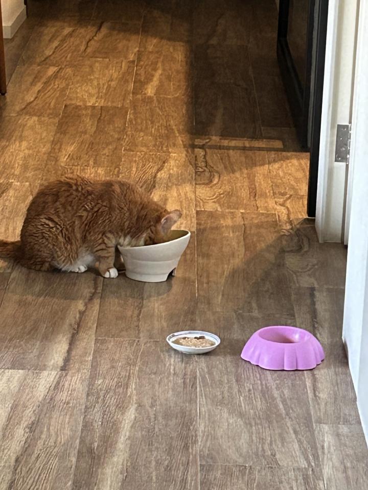 磁磚清潔工作照片