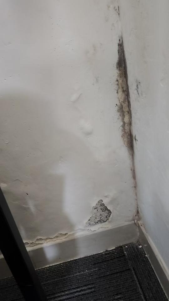 漏水測試工作照片