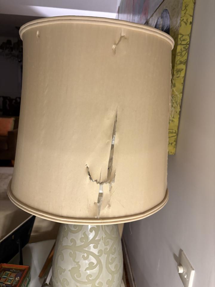 燈飾維修工作照片