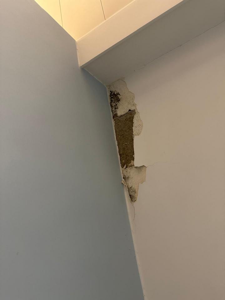 Wall PaintingJob photo