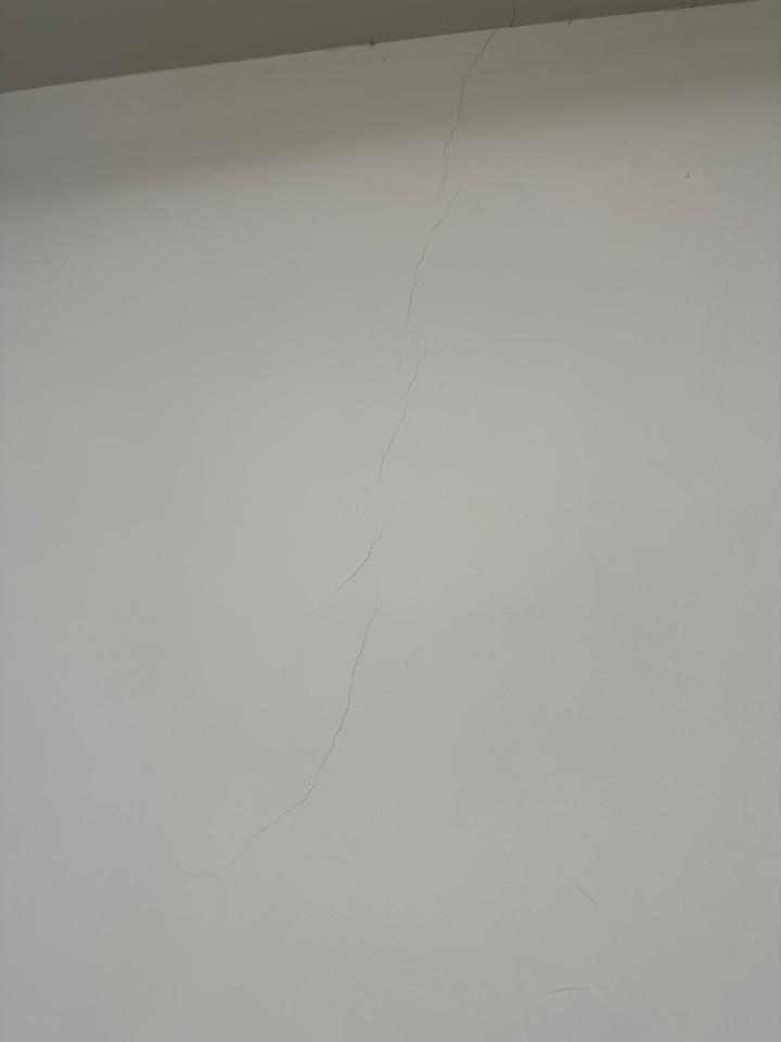 Wall PaintingJob photo