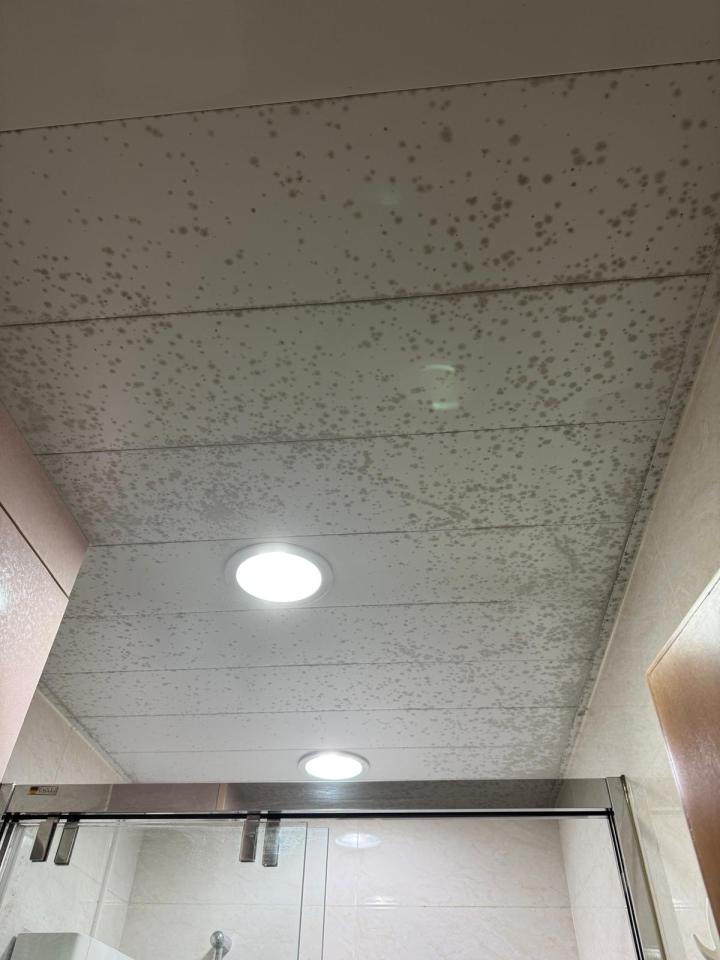 天花工程工作照片