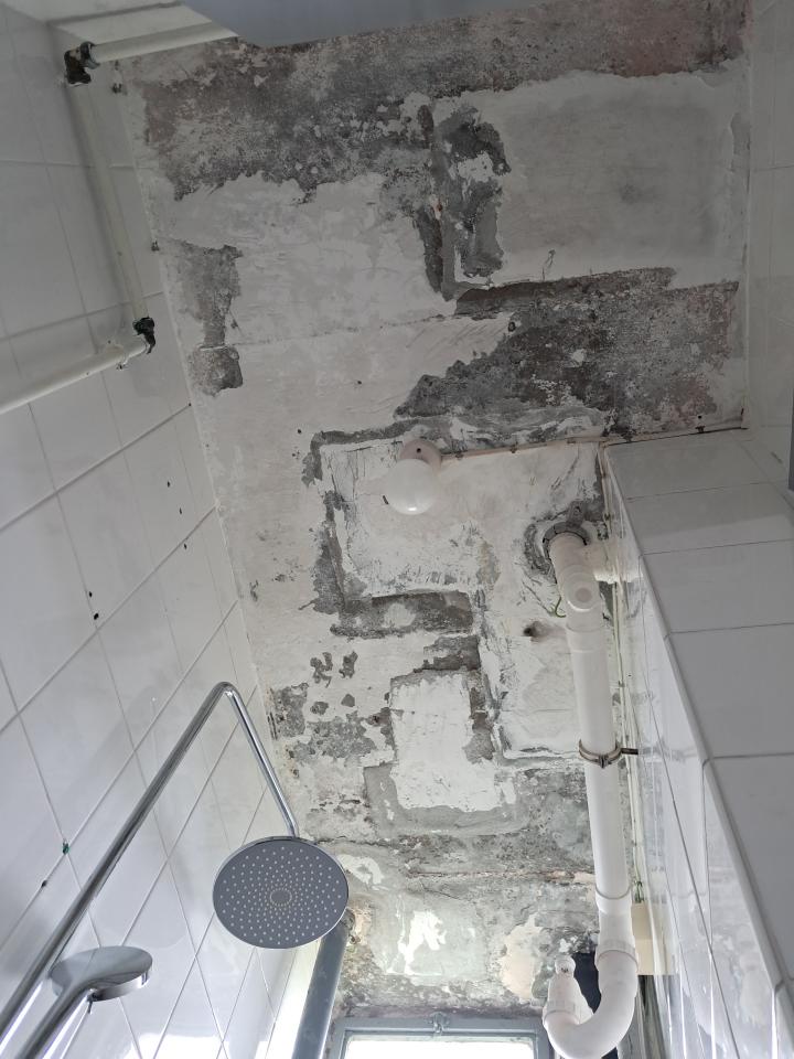 Wall PaintingJob photo