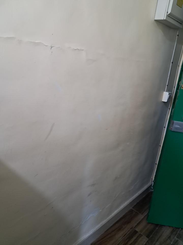 Wall PaintingJob photo