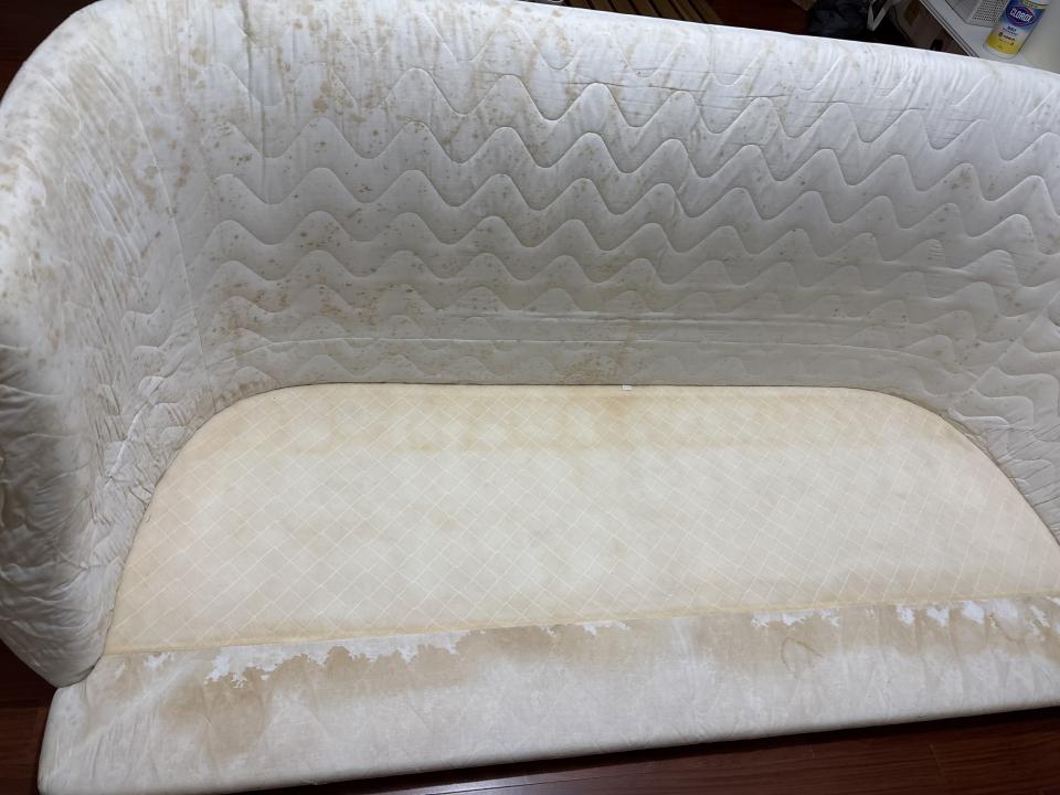 梳化清潔工作照片