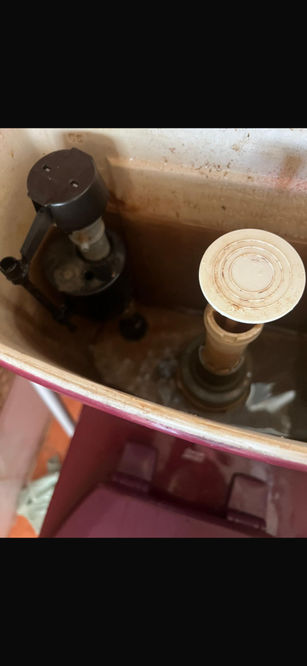 Toilet Installation & RepairJob photo