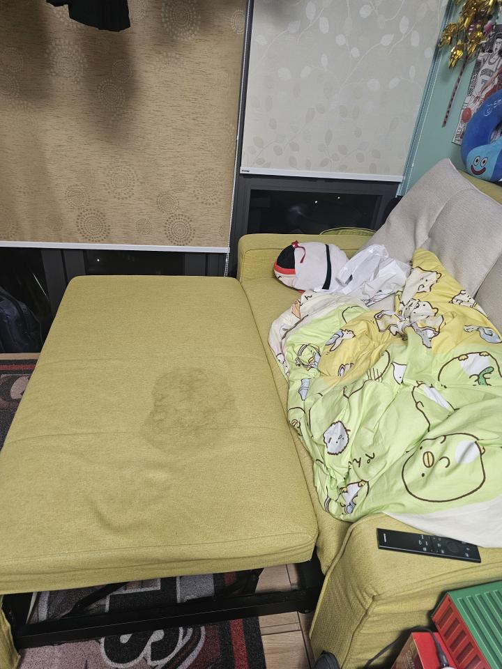 梳化清潔工作照片