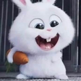 提供學琴自學服務的專家Ho Wang Yu