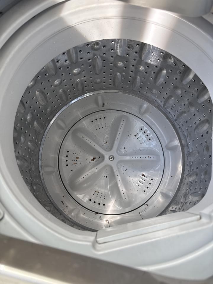 洗衣機清洗工作照片