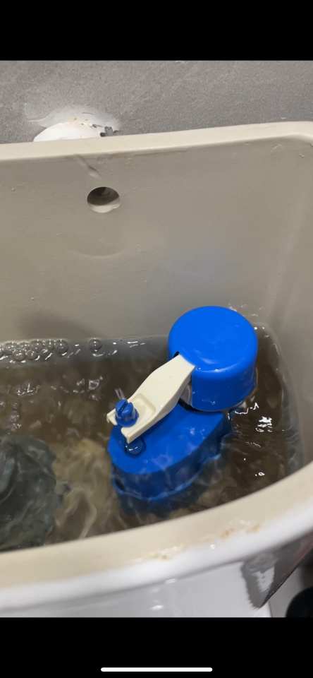 Toilet Installation & Repairjob photo