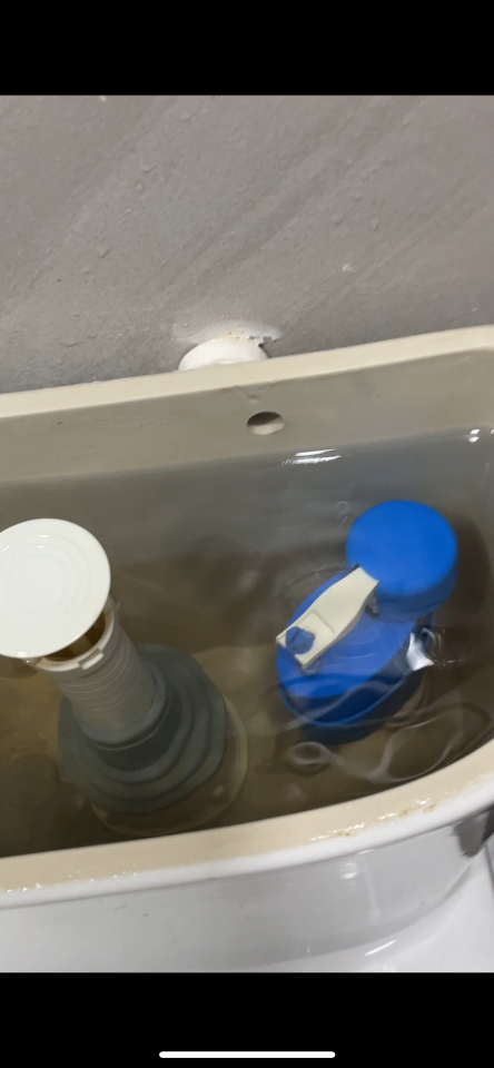 Toilet Installation & Repairjob photo