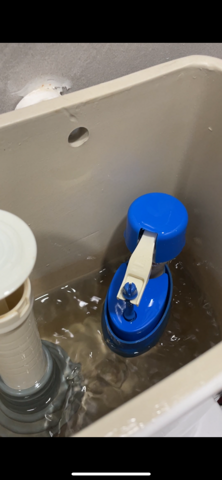 Toilet Installation & Repairjob photo