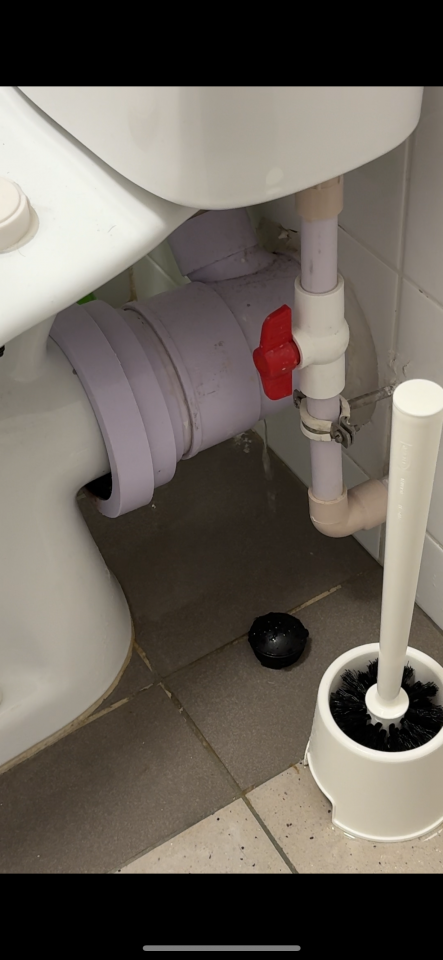 Toilet Installation & Repairjob photo