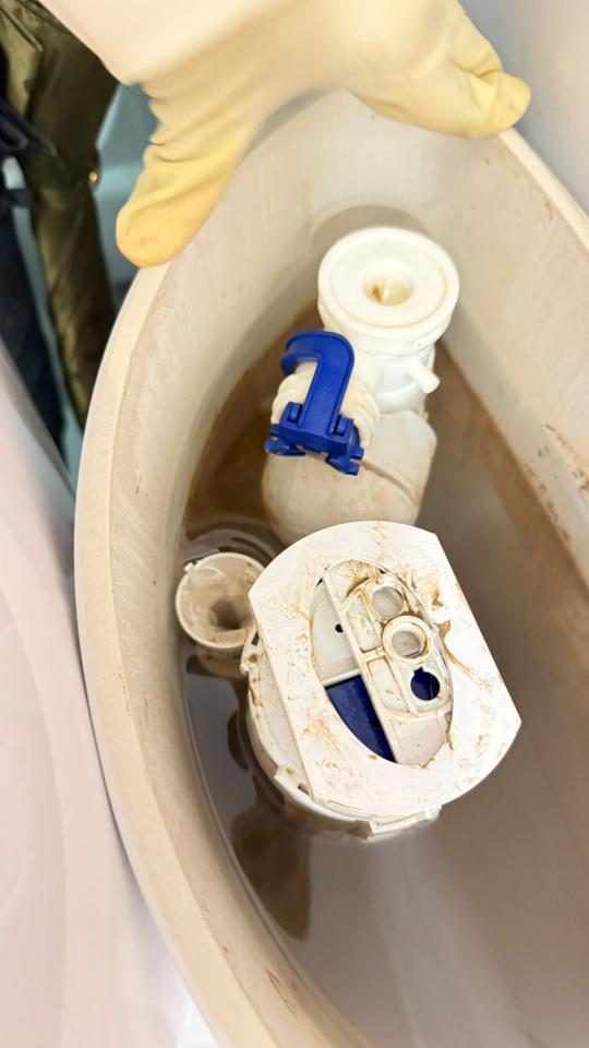 Toilet Installation & Repairjob photo